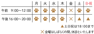 診療時間(金は休診)