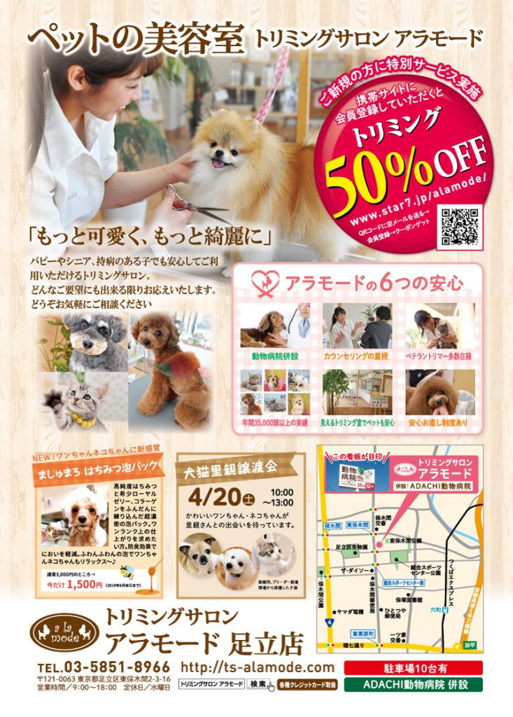 ましゅまろ はちみつ泡パック 今だけ1 500円 足立動物病院 Adachi動物病院 トリミングサロン ペットホテル 足立区東保木間