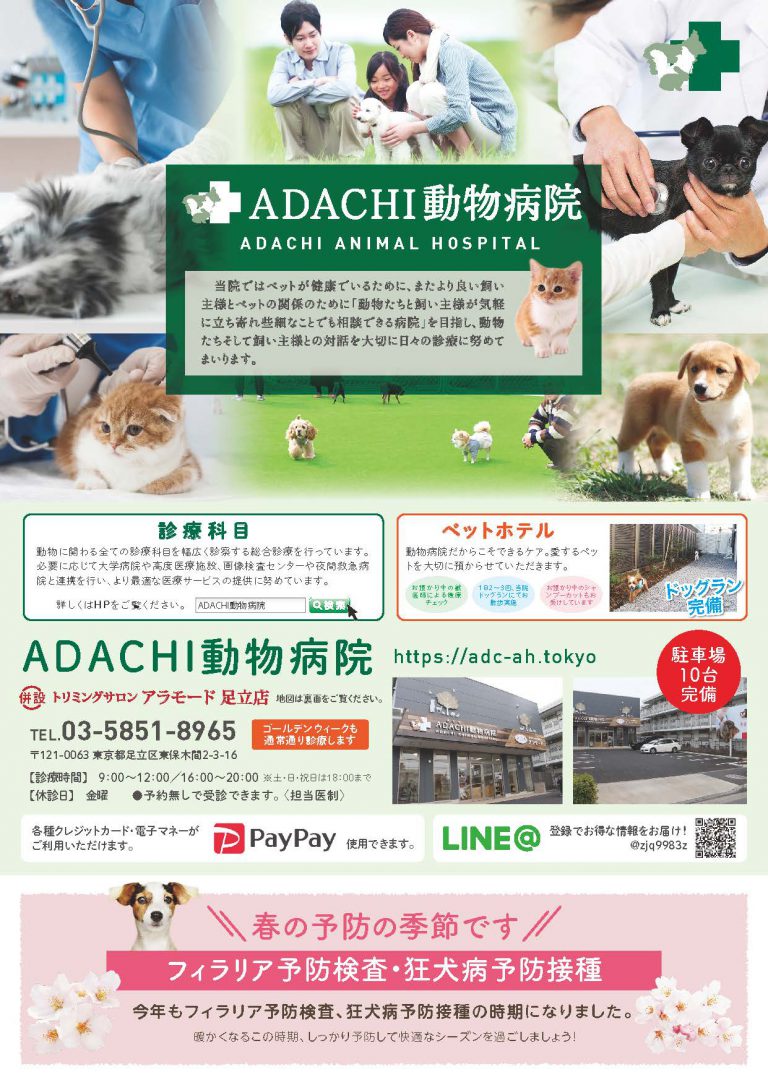 ADACHI動物病院春の予防チラシ